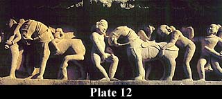 Plate 12