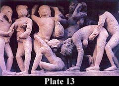 Plate 13