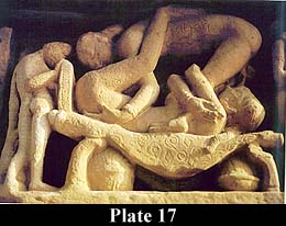 Plate 17